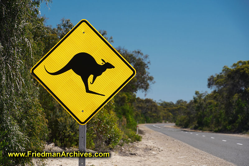 travel,tourist,animals,wildlife,road,sign,caution,road trip,vacation,holiday,australia,